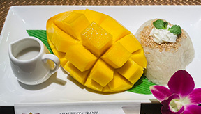 フレッシュマンゴーともち米添え/Fresh Mango and Coconut Sticky Rice　￥1,320